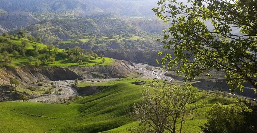 از خوش‌گردی تا دورگردی